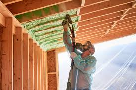 Best Insulation for New Construction  in Ojus, FL